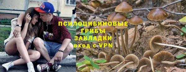 экстази Богородицк