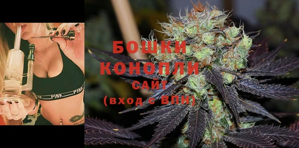 индика Белоозёрский