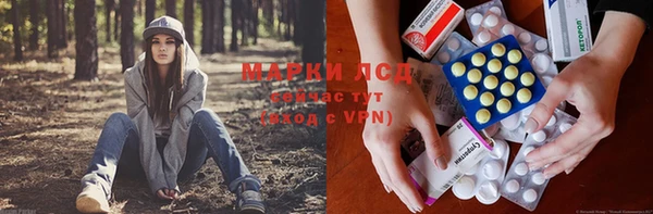 ECSTASY Богданович