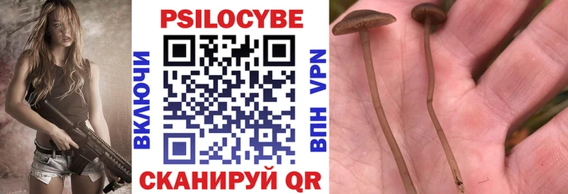 Галлюциногенные грибы мицелий даркнет сайт Бугульма